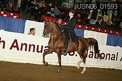 USN06_01593 proof