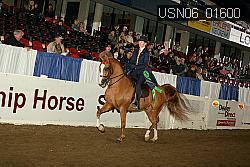 USN06_01600 proof