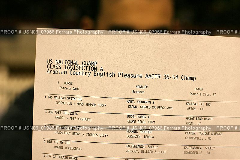 Proof USN06_03966