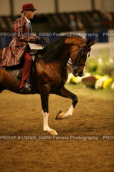 Proof USN06_04950