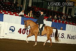 USN06_01080 proof