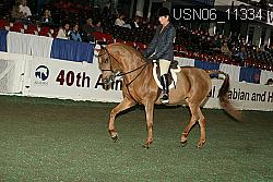 USN06_11334 proof