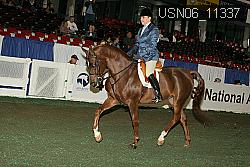 USN06_11337 proof