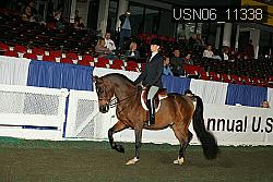 USN06_11338 proof