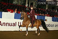 USN06_01091 proof