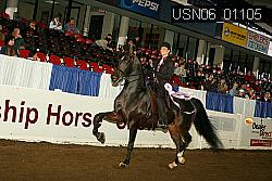 USN06_01105 proof