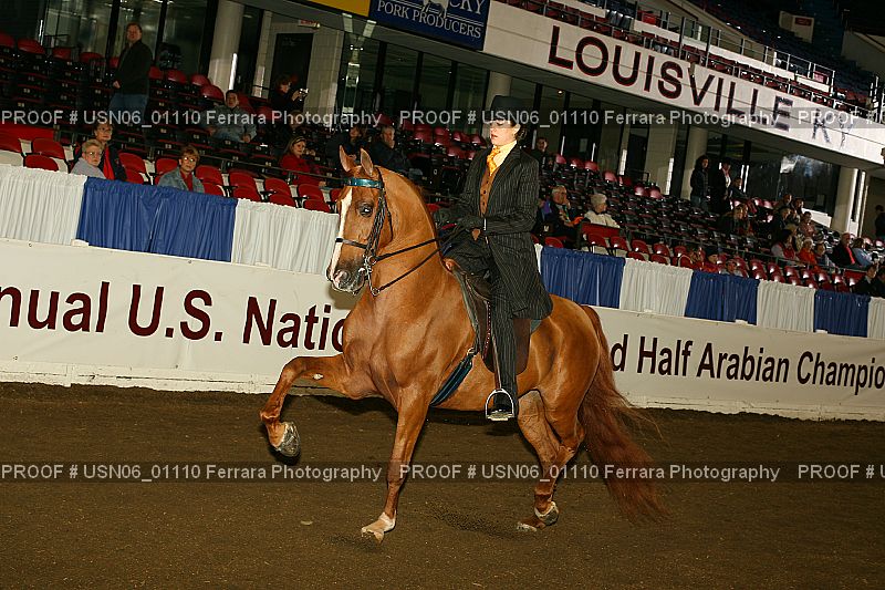 Proof USN06_01110