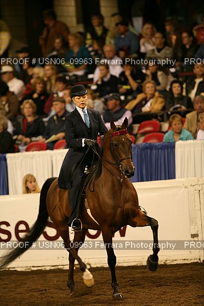 Proof USN06_09963