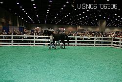 USN06_06306 proof
