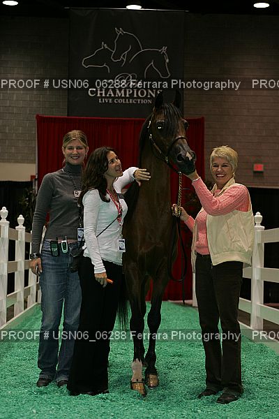 Proof USN06_06288