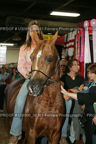 Proof USN06_06381