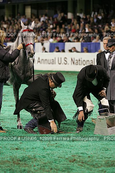 Proof USN06_12898