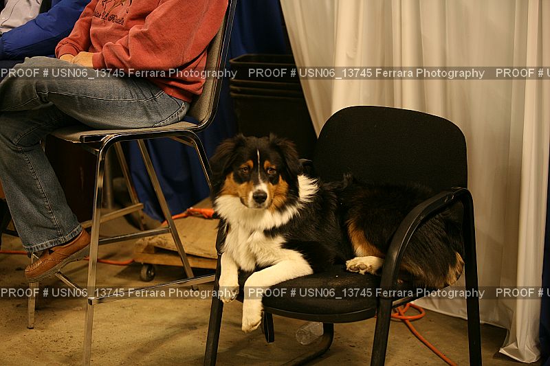 Proof USN06_13745