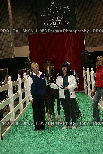 Proof USN06_11858