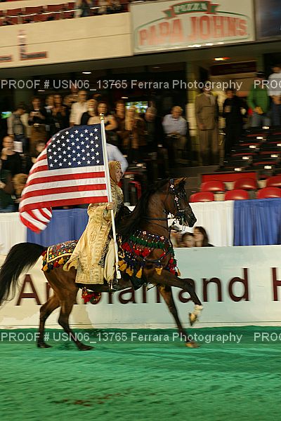 Proof USN06_13765