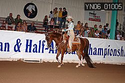 YN06_01005 proof