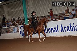 YN06_01014 proof