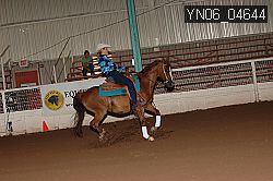 YN06_04644 proof