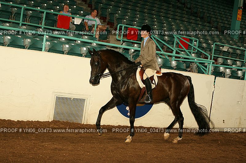 Proof YN06_03473