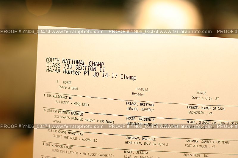 Proof YN06_03474