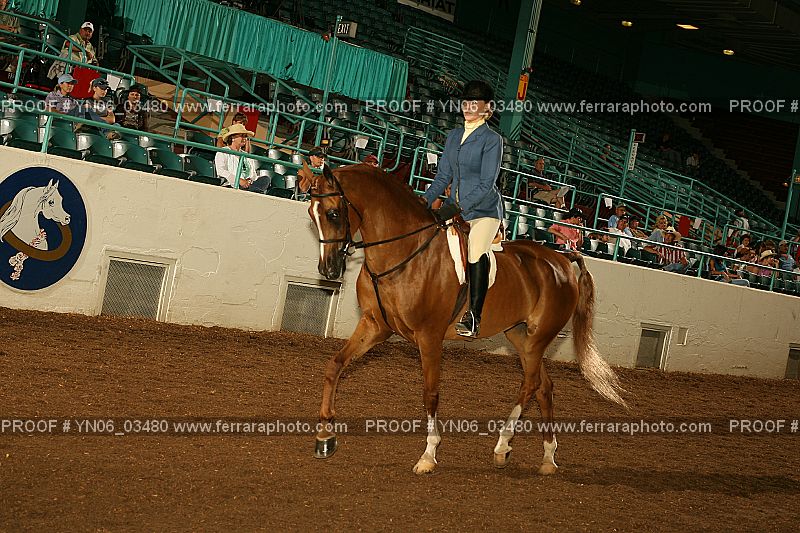 Proof YN06_03480