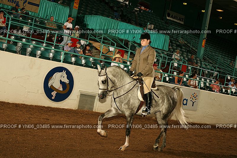 Proof YN06_03485