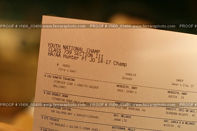 Proof YN06_03499
