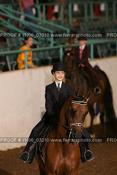 Proof YN06_03210