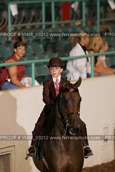 Proof YN06_03212