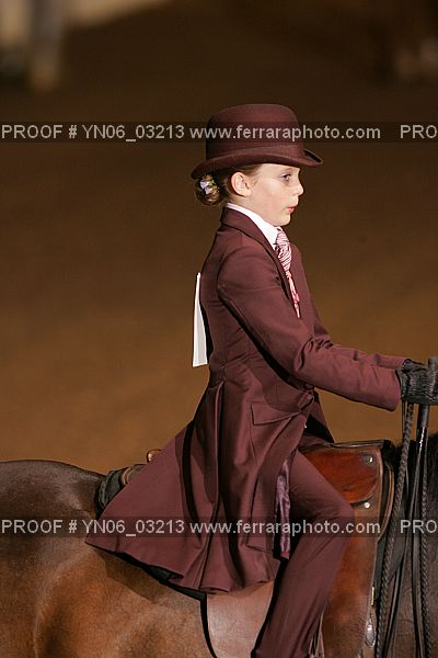 Proof YN06_03213