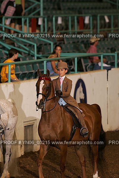 Proof YN06_03215
