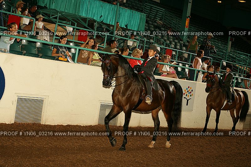 Proof YN06_03216
