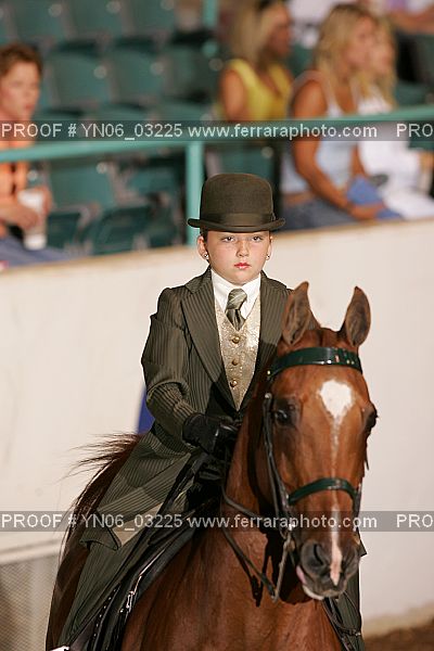 Proof YN06_03225
