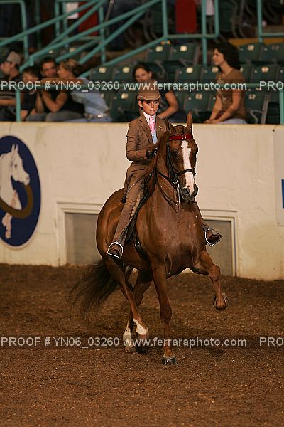 Proof YN06_03260