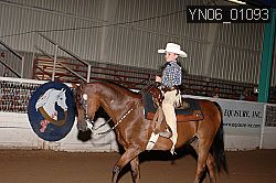 YN06_01093 proof