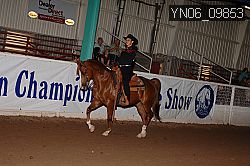YN06_09853 proof