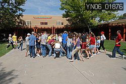 YN06_01876 proof