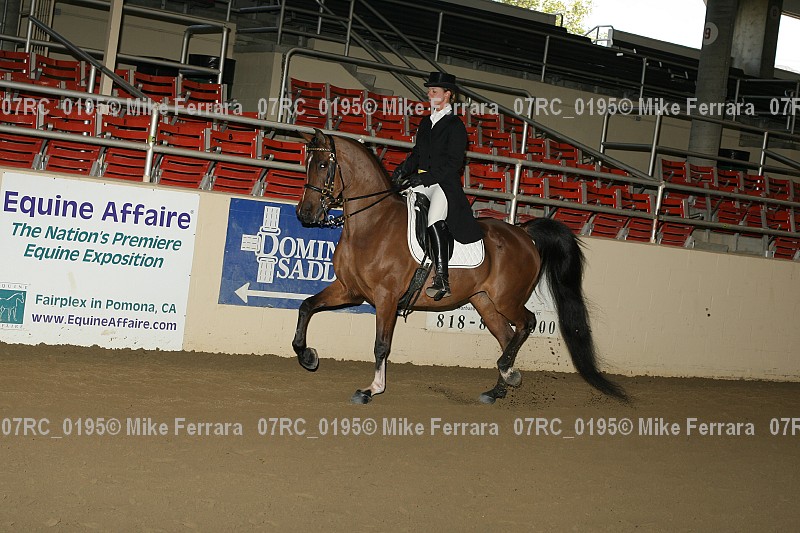 Proof 07rc_0195