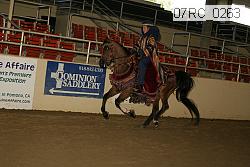 07rc_0263 proof
