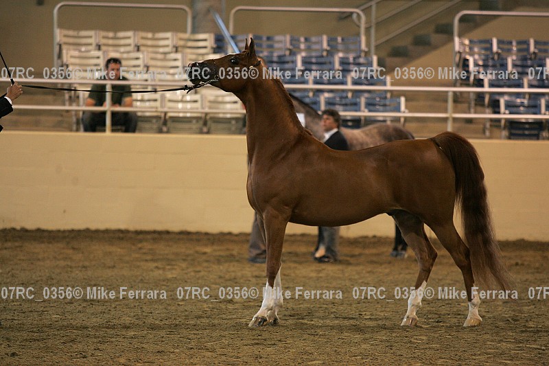 Proof 07rc_0356