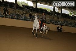 07rc_0663 proof