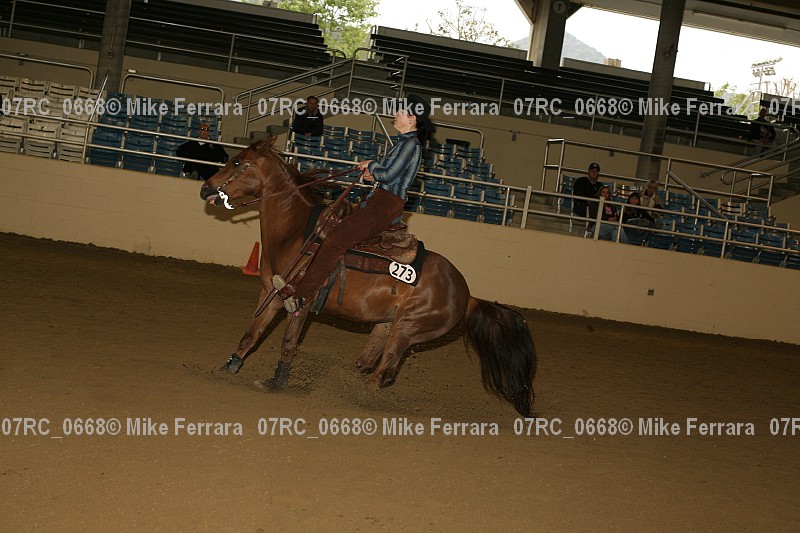 Proof 07rc_0668