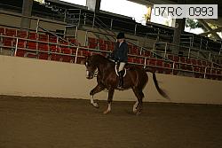 07rc_0993 proof