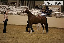 07rc_1067 proof