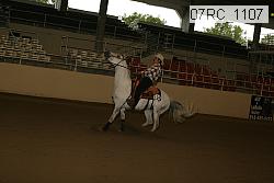 07rc_1107 proof