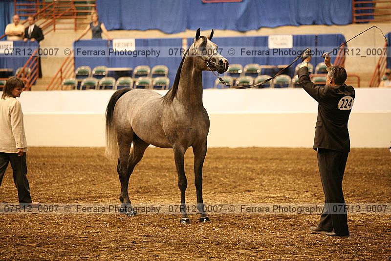 Proof 07r12_0007
