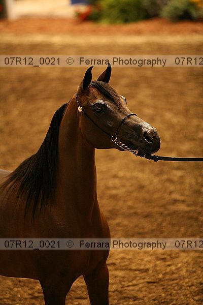 Proof 07r12_0021