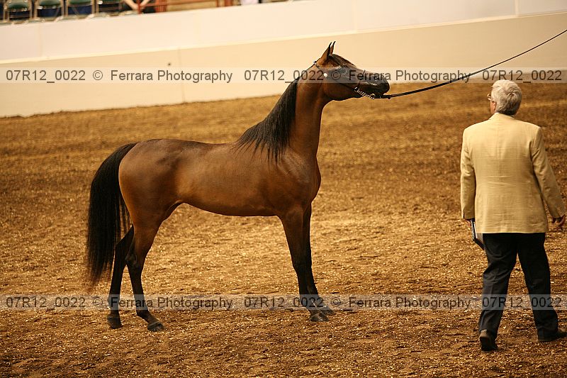 Proof 07r12_0022
