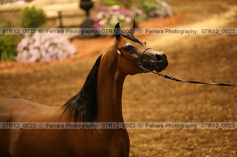 Proof 07r12_0023