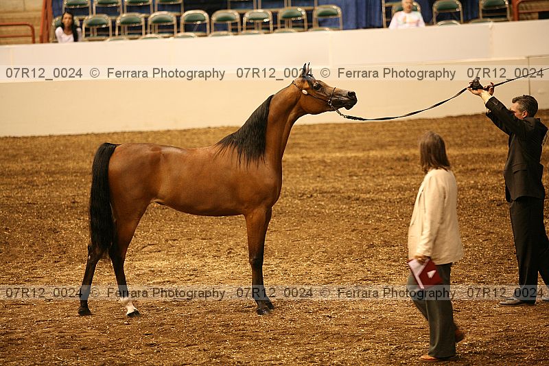 Proof 07r12_0024
